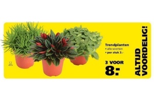 trendplanten