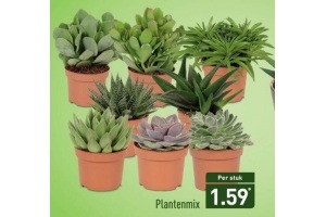 plantenmix