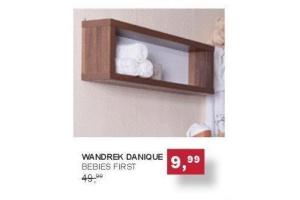 wandrek danique