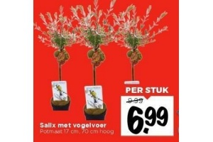 salix met vogelvoer