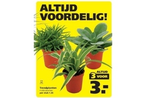 trendplanten