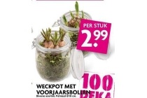 weckpot met voorjaarsbollen