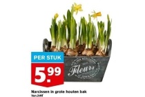 narcissen in grote houten bak