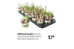 bollenmix op pot