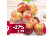 jonagold appelen
