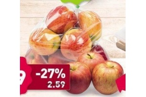 jonagold appelen
