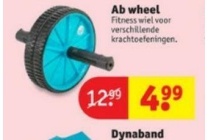 ab wheel