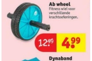 ab wheel