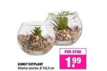 kunst vetplant