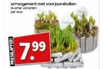 arrangement met voorjaarsbollen