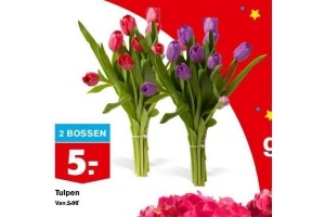 tulpen