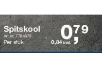 spitskool