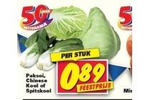 paksoi chinese kool of spitskool