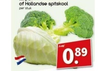 hollandse spitskool