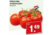 hollandse trostomaten