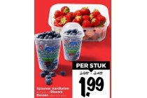 spaanse aardbeien of blauwe bessen