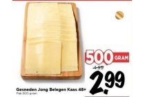 gesneden jong belegen kaas 48