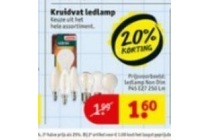 kruidvat ledlampen