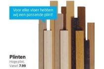 plinten