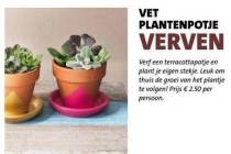 vetplantenpotje verven