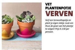 vetplantenpotje verven