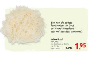 witte kool hocras