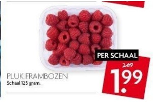 frambozen