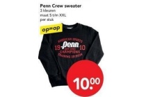 penn crew sweater