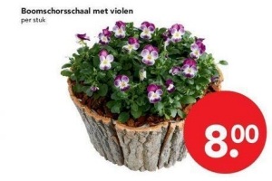 boomschorsschaal met violen