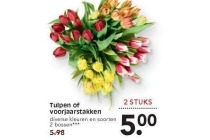 tulpen of voorjaarstakken