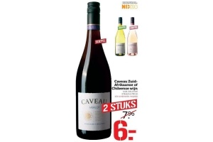 caveau zuid afrikaanse of chileense wijn