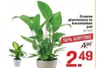 groene plantenmix in keramieken pot