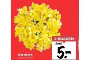 narcissen