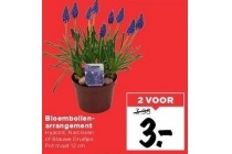 bloembollen arrangement