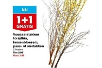 voorjaarstakken forsythia kersenbloesem paas of siertakken