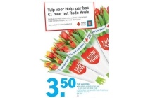 tulp voor hulp