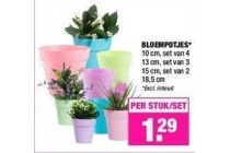 bloempotjes