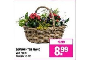 rotan gevlochten mand