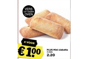 plus mini ciabatta