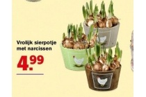 vrolijk sierpotje met narcissen