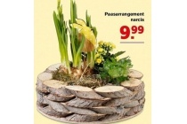 paasarrangement narcis