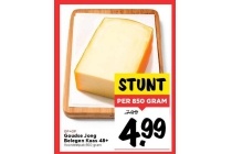 goudse jong belegen kaas 48