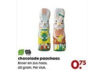 chocolade paashaas