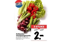 hollandse voorjaarsgroente