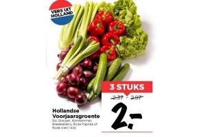 hollandse voorjaarsgroente