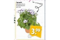 senetti