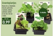 groenteplantjes