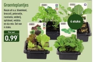 groenteplantjes