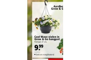 cool wave violen in grow en go hangpot