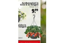 aardbeienplant in grow en go hangpot